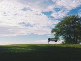 Picture of empty bench on a hill by a tree